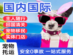 贡嘎国际宠物托运 【国